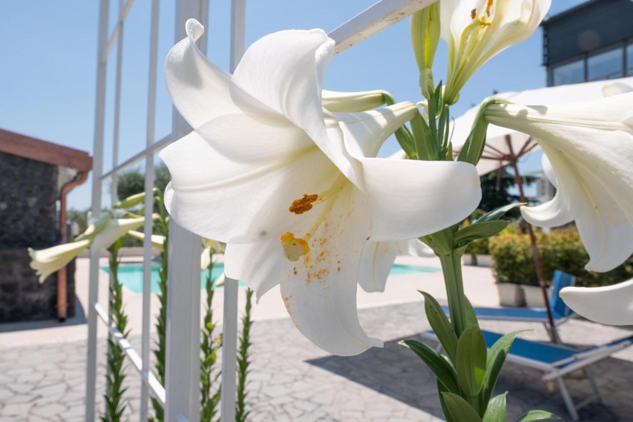 מאסקלוצ'יה Lux Suite Sicily מראה חיצוני תמונה